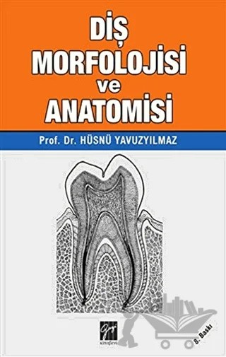 Diş Morfolojisi ve Anatomisi – Hüsnü Yavuzyılmaz – Gazi Kitabevi kitap kapağı