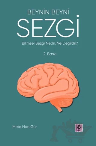Beynin Beyni Sezgi – Mete Han Gür – Efil Yayınevi kitap kapağı
