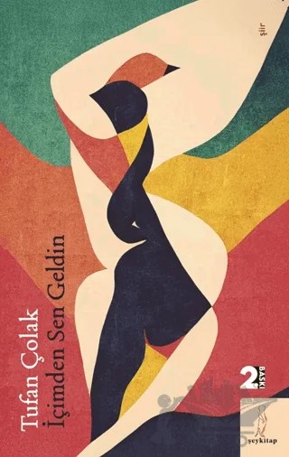 İçimden Sen Geldin – Tufan Çolak – Şey Kitap kitap kapağı