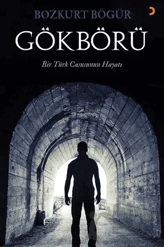 Gökbörü – Bozkurt Bögür – Cinius Yayınları kitap kapağı