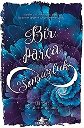 Bir Parça Sonsuzluk – Harriet Reuter Hapgood – Pegasus Yayınları kitap kapağı