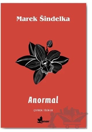 Anormal – Marek Sindelka – Çınar Yayınları kitap kapağı