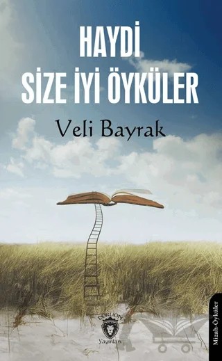 Haydi Size İyi Öyküler – Veli Bayrak – Dorlion Yayınları kitap kapağı