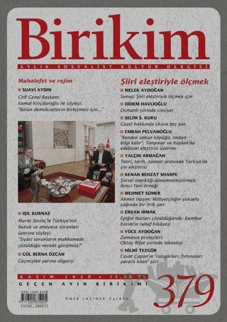 Birikim Aylık Sosyalist Kültür Dergisi Sayı: 379 Kasım 2020 – Birikim Yayınları kitap kapağı