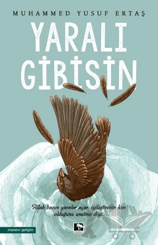 Yaralı Gibisin – Muhammed Yusuf Ertaş – Çınaraltı Yayınları kitap kapağı