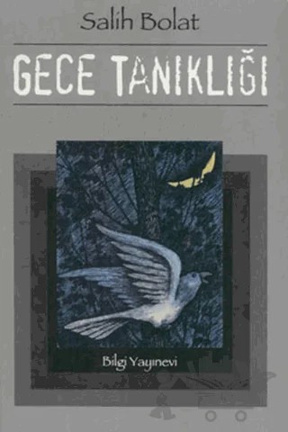 Gece Tanıklığı – Salih Bolat – Bilgi Yayınevi kitap kapağı