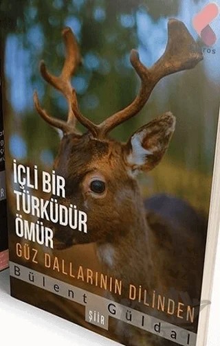 İçli Bir Türküdür Ömür – Bülent Güldal – Klaros Yayınları kitap kapağı