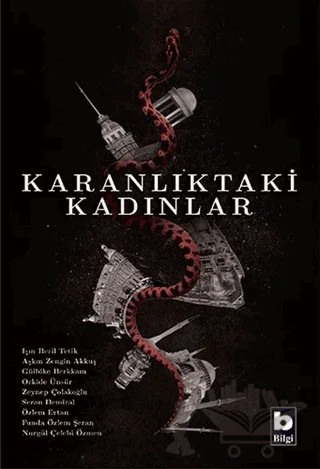 Karanlıktaki Kadınlar – Aşkın Zengin Akkuş, Funda Özlem Şeran, Gülbike Berkkam, Işın Beril Tetik, Nurgül Çelebi Özmen, Orkide Ünsür, Özlem Ertan, Seran Demiral, Zeynep Çolakoğlu – Bilgi Yayınevi kitap kapağı