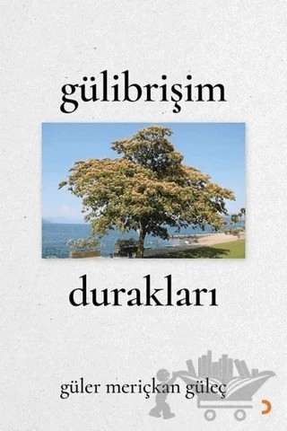 Gülibrişim Durakları – Güler Meriçkan Güleç – Cinius Yayınları kitap kapağı