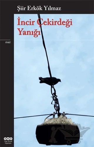 İncir Çekirdeği Yanığı – Şiir Erkök Yılmaz – Yapı Kredi Yayınları kitap kapağı