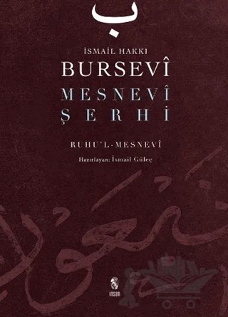 Mesnevi Şerhi – İsmail Hakkı Bursevi – İnsan Yayınları kitap kapağı