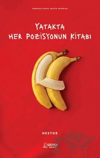 Yatakta Her Pozisyonun Kitabı – Nestor – Serüven Yayınevi kitap kapağı