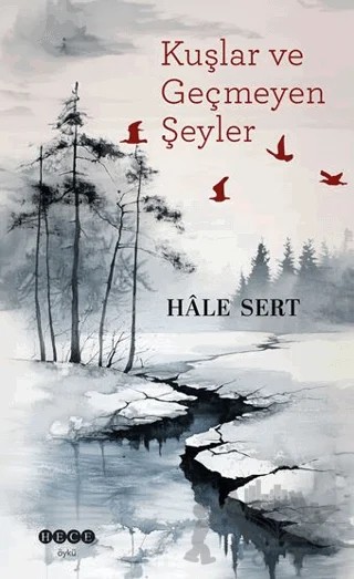Kuşlar ve Geçmeyen Şeyler – Hale Sert – Hece Yayınları kitap kapağı