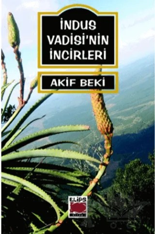 İndus Vadisi’nin İncirleri – Akif Beki – Elips Kitap kitap kapağı