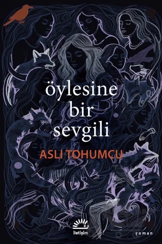 Öylesine Bir Sevgili – Aslı Tohumcu – İletişim Yayınevi kitap kapağı
