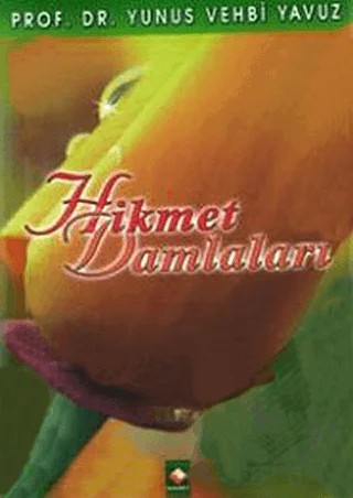 Hikmet Damlaları – Yunus Vehbi Yavuz – Rağbet Yayınları kitap kapağı