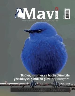 Mavi Gök Kültür Sanat Edebiyat Dergisi Sayı: 8 Temmuz - Ağustos 2022 – Mavi Gök Dergisi Yayınları kitap kapağı