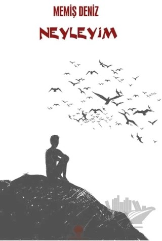 Neyleyim – Memiş Deniz – Platanus Publishing kitap kapağı