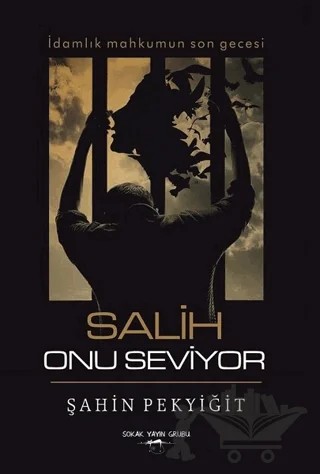 Salih Onu Seviyor – Şahin Pekyiğit – Sokak Kitapları Yayınları kitap kapağı
