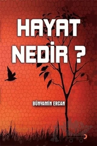 Hayat Nedir? – Bünyamin Ercan – Cinius Yayınları kitap kapağı