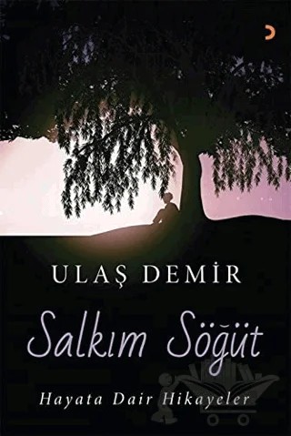 Salkım Söğüt – Ulaş Demir – Cinius Yayınları kitap kapağı