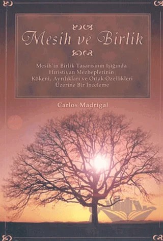 Mesih ve Birlik – Carlos Madrigal – Haberci Basın Yayın kitap kapağı