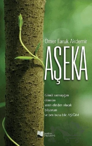 Aşeka – Ömer Faruk Akdemir – Karina Yayınevi kitap kapağı