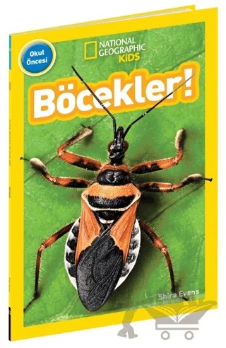 National Geographic Kids - Böcekler! – Shira Evans – Beta Kids kitap kapağı