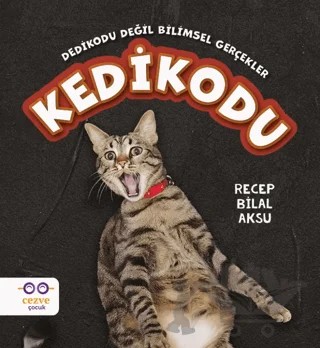 Kedikodu – Recep Bilal Aksu – Cezve Çocuk kitap kapağı
