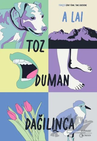 Toz Duman Dağılınca – Alai – Everest Yayınları kitap kapağı