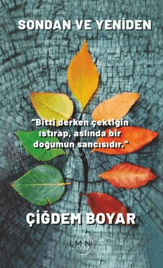 Sondan ve Yeniden – Çiğdem Boyar – Liman Yayınevi kitap kapağı