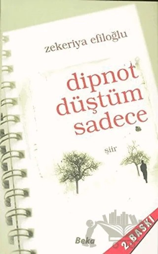 Dipnot Düştüm Sadece – Zekeriya Efiloğlu – Beka Yayınları kitap kapağı