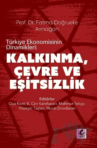 Türkiye Ekonomisinin Dinamikleri: Kalkınma, Çevre ve Eşitsizlik – Kolektif – Efil Yayınevi kitap kapağı
