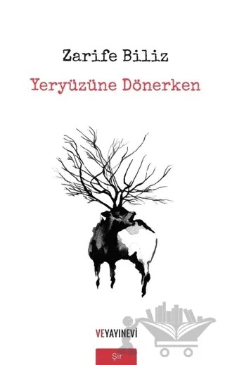 Yeryüzüne Dönerken – Zarife Biliz – Ve Yayınevi kitap kapağı