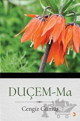 Duçem -Ma – Cengiz Gümüş – Cinius Yayınları kitap kapağı