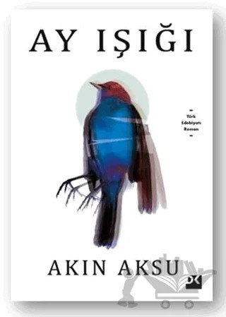 Ay Işığı – Akın Aksu – Doğan Kitap kitap kapağı