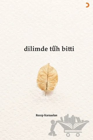 Dilimde Tüh Bitti – Recep Karaaslan – Cinius Yayınları kitap kapağı