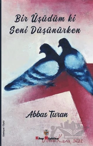 Bir Üşüdüm ki Seni Düşünürken – Abbas Turan – Kitap Müptelası Yayınları kitap kapağı