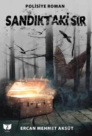 Sandıktaki Sır – Ercan Mehmet Aksüt – Ateş Yayınları kitap kapağı