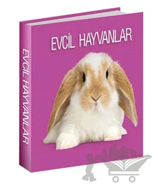 Evcil Hayvanlar – Kolektif – Koleksiyon Yayıncılık kitap kapağı