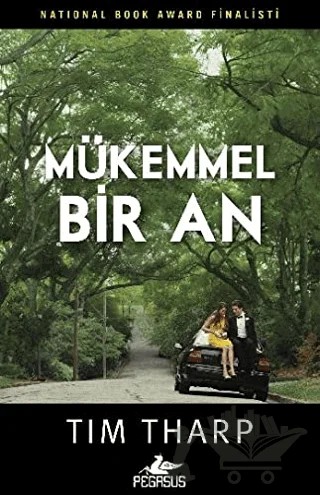 Mükemmel Bir An – Tim Tharp – Pegasus Yayınları kitap kapağı