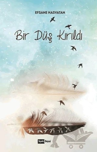 Bir Düş Kırıldı – Efsane Hastvatan – Siyah Beyaz Yayınları kitap kapağı