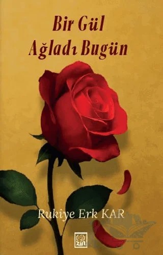 Bir Gül Ağladı Bugün – Rukiye Erk Kar – Zin Kitap Yayınları kitap kapağı