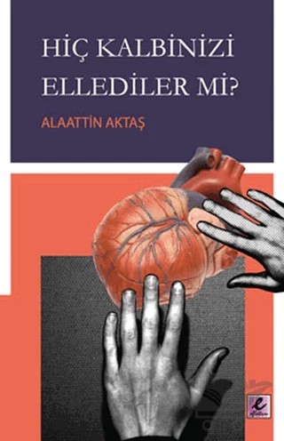 Hiç Kalbinizi Ellediler mi – Alaattin Aktaş – Efil Yayınevi kitap kapağı