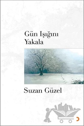 Gün Işığını Yakala – Suzan Güzel – Cinius Yayınları kitap kapağı