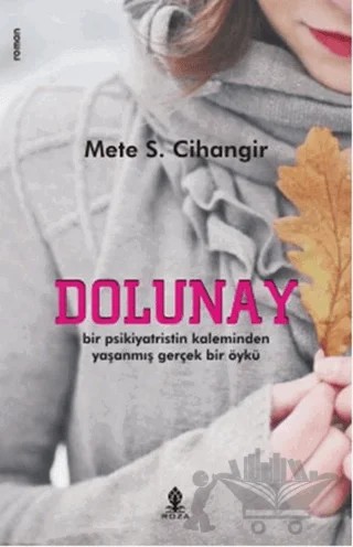 Dolunay – Mete S. Cihangir – Aramis Yayınevi kitap kapağı