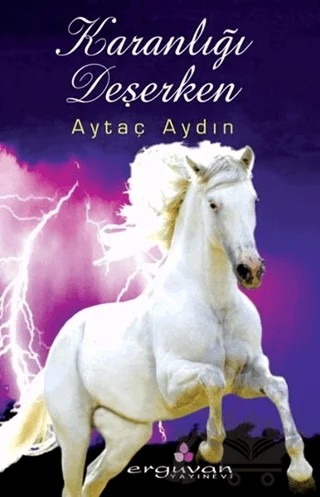 Karanlığı Deşerken – Aytaç Aydın – Erguvan Yayınevi kitap kapağı