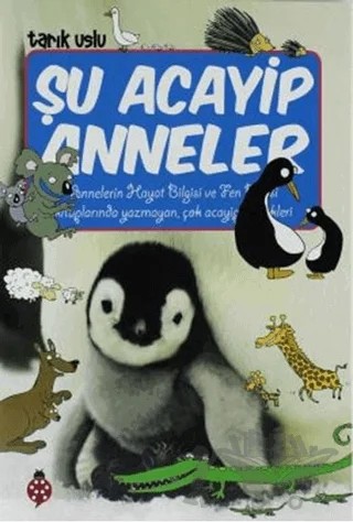 Şu Acayip Anneler – Tarık Uslu – Uğurböceği Yayınları kitap kapağı