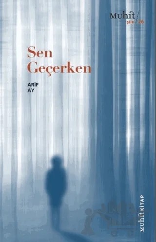 Sen Geçerken – Arif Ay – Muhit Kitap kitap kapağı