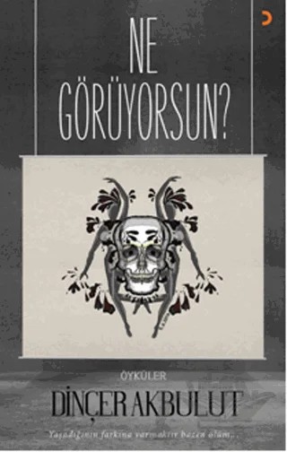Ne Görüyorsun? – Dinçer Akbulut – Cinius Yayınları kitap kapağı